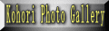 �g�b�v�ɖ߂�