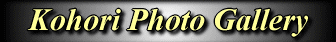 Kohori Photo Gallery